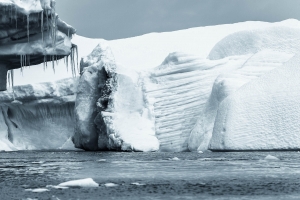 ANT-OLND4_2824 Icebergs