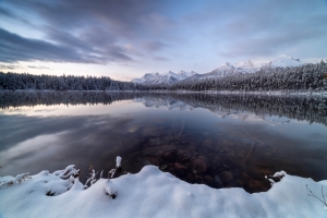 CND-OL-850_9066 Herbert Lake, Banff, Alberta