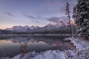 CND-OL-850_9085 Herbert Lake, Banff, Alberta