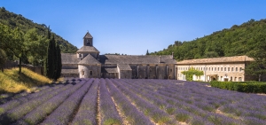 FPR-OLN5D_0157 Provence, Lavender