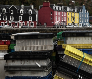 GBR-OL-NZ8_4383