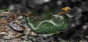 1_GBR-OL-NZ8_4349