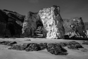 GBR-OL-NZ8_2831