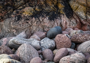 GBR-OL-NZ8_2941