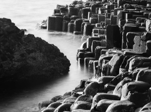 GBR-OL-NZ8_3224