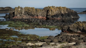 GBR-OL-NZ8_3249