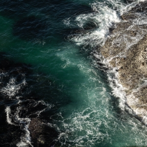 GBR-OL-NZ8_3668