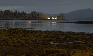 GBR-OL-NZ8_3895