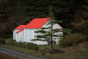 GBR-OL-NZ8_4481