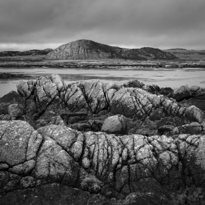 GBR-OL-NZ8_4571