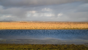 GBR-OL-NZ8_9574