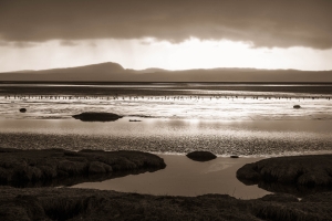 GBR-OL-NZ8_9890