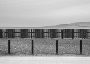 GBR-OL-NZ8_9995