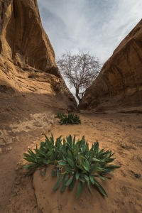 JRD-OL-850_3104-HDR Wadi Rum Desert