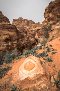 JRD-OL-850_3313 Petra National Park