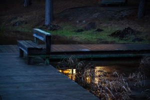 LIT-OL-NZ8_7965