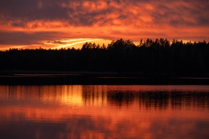 LIT-OL-NZ8_8345