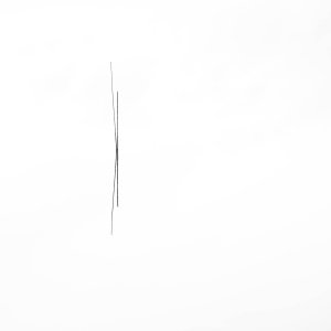 LIT-OL-NZ8_8426