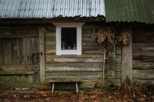 LIT-OL-NZ8_8602