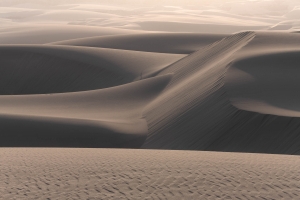 Dune,-Skeleton-Coast