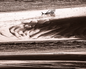 NAM-OL-NZ7_8231