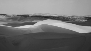 NAM-OL-NZ8_0395
