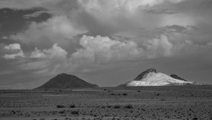 NAM-OL-NZ8_1646