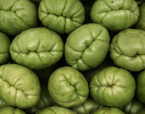PRT-OL-NZ8_1460