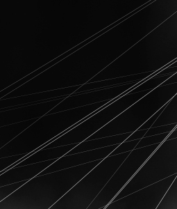 PRT-OL-NZ8_4039