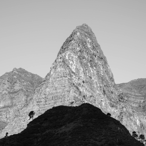 PRT-OL-NZ8_1622