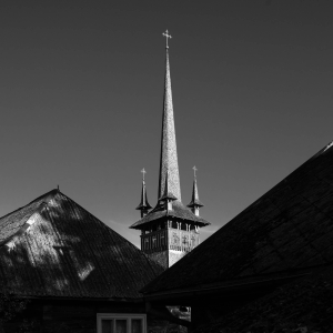 ROM-OL-NZ8_6957