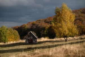 ROM-OL-NZ8_7157