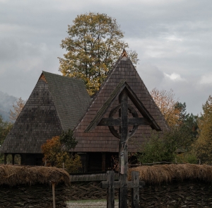 ROM-OL-NZ8_7494