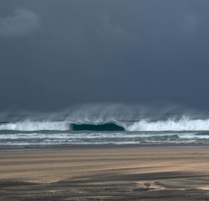 ESP-OL-NZ8_5085