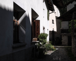 SWZ-OL-NZ8_5929