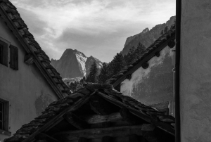 SWZ-OL-NZ8_5330