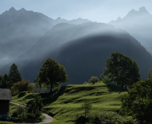 SWZ-OL-NZ8_5569