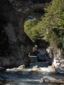 SWZ-OL-NZ8_5887
