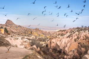 TUR-OL-810_6941 Pigeon Valley, Cappadocia
